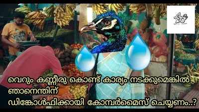 ജഡ്ജിയുടെ ബ്രഹ്മചാരി മയില്‍ പ്രസ്താവനയെ ട്രോളിക്കൊന്ന് സൈബര്‍ലോകം