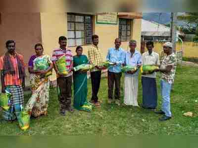 ಕೊನೆಗೂ ರೈತರಿಗೆ ಮೇವಿನ ಬೀಜ ವಿತರಣೆ