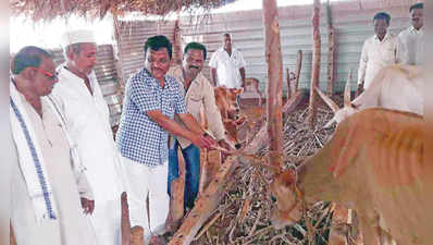 ಹಸು ಪೂಜಿಸುವುದು ನಮ್ಮೆಲ್ಲರ ಕರ್ತವ್ಯ