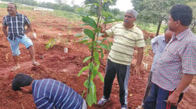 ಪರಸರ ರಕ್ಷಣೆಯಲ್ಲಿ ವರ್ತಕನ ದಿಟ್ಟ ಕೆಲಸ