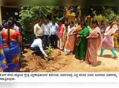 ಕೆ.ಆರ್‌.ಪೇಟೆ: ವಿಕ ಹಸಿರು ಅಭಿಯಾನ ಪರಿಸರ ದಿನ