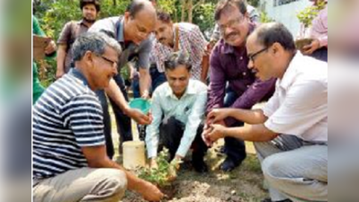 গাছের যত্নে হিডকো, নজরদার হোয়াটসঅ্যাপ