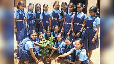 ಮರಗಳ ಮಾರಣಹೋಮ ತಡೆ ಅಗತ್ಯ