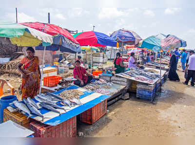 சென்னையின் புறநகர்ப் பகுதியில் நவீன மீன் விற்பனைக்கூடம் நிறுவ முடிவு