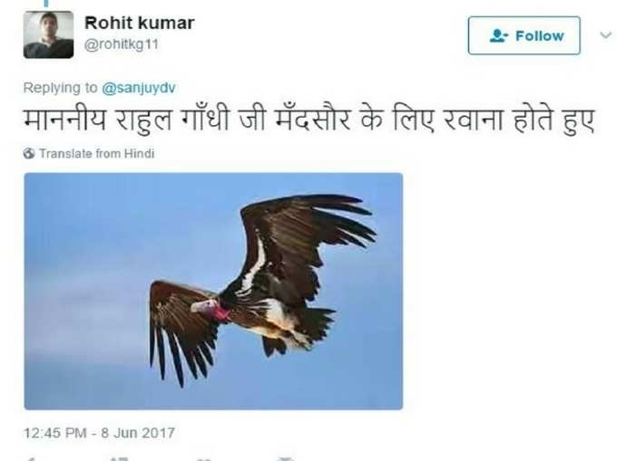 नादान परिंदे