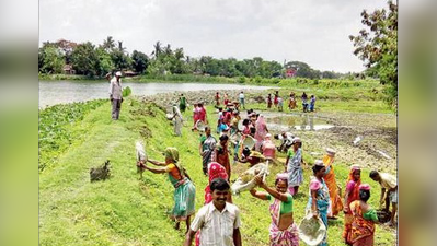 মেছো ভেড়িতে ইকো ট্যুরিজম পার্ক