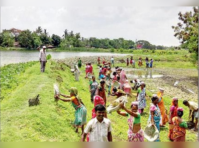 মেছো ভেড়িতে ইকো ট্যুরিজম পার্ক