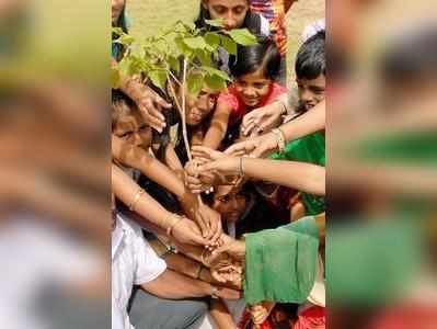 ನಮ್ಮ ರಾಜ್ಯದಲ್ಲಿ ಸಸಿ ಪೋಷಿಸಲು ತಗಲುವ ಖರ್ಚು 20 ಕೋಟಿ!