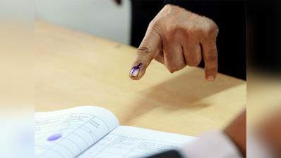 गोवाः पंचायत चुनाव के लिए मतदान जारी