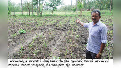 ಕಾಡಾನೆ ಹಾವಳಿಗೆ ರೈತರು ಹೈರಾಣು