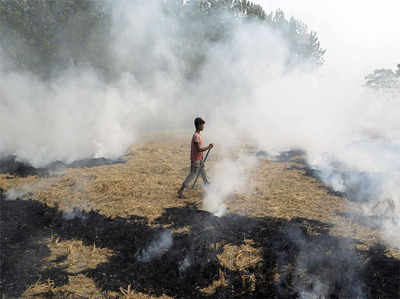 प्रदूषण से निपटने की तैयारी, हरियाणा में पराली से बनेगा हार्डबोर्ड