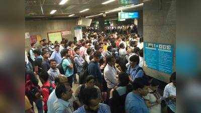 Eagle snaps Delhi Metros Blue Line cable triggering short circuit 