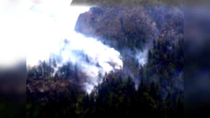 Massive fire at Gangotri National Park 