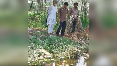 নিয়মের গেরো, সাংসদের টাকা স্রেফ জলে যাচ্ছে