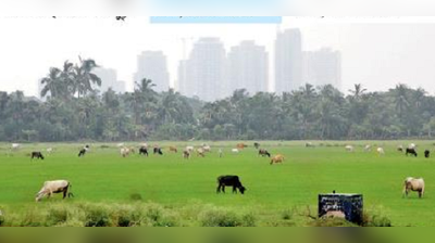 নতুন-পুরোনোর লড়াইয়ে উত্তাপ বাড়ছে সিন্ডিকেটে