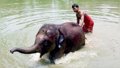 গরমে বদলে গেল ফাল্গুনীদের মেনু