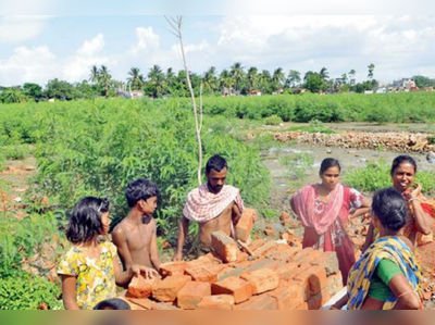 কবে ফিরবে ভেড়ি, সে প্রশ্নেই দিন কাটছে বাসিন্দাদের