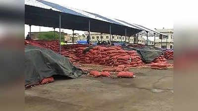 Bhopal: 8,000 metric tonnes onion rotten in open air 