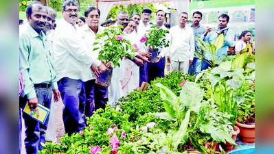 ತೋಟಗಾರಿಕೆ ಬೆಳೆ ಉತ್ತೇಜನಕ್ಕೆ ಸಸ್ಯ ಸಂತೆ