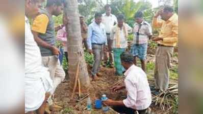 ನುಸಿಗೆ ಸಗಣಿ ಗೊಬ್ಬರ, ಬೇವಿನ ಹಿಂಡಿ ಬಳಸಿ