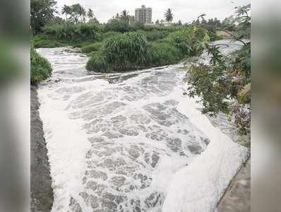 ವೃಷಭಾವತಿ ನದಿ