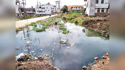 ದೂರು ಕೊಟ್ಟರೂ ಕ್ರಮ ಜರಿಗಿಸದ ನಗರಸಭೆ