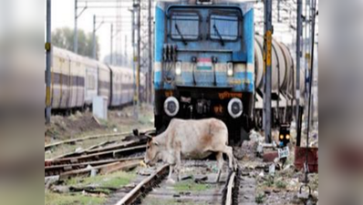 बारिश से 5 ट्रेनें रद्द, राजस्थान जाने वाली ट्रेनों का संपर्क टूटा