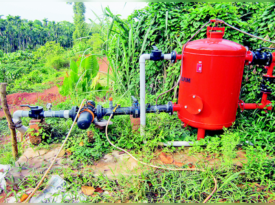 ಹನಿ ನೀರಾವರಿಯಲ್ಲಿ ಗೋಮೂತ್ರ