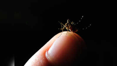 दिल्ली में मच्छर से होने वाली बीमारियों के मरीज बढ़े