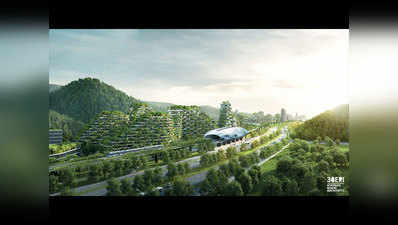 10 लाख पौधों और 40 हजार पेड़ों वाला दुनिया का पहला जंगल शहर बना रहा है चीन