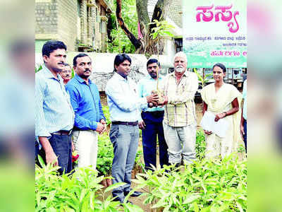 ಒಂದೇ ಸೂರಿನಡಿ ಹಲವು ಸಸಿಗಳ ಮಾರಾಟ