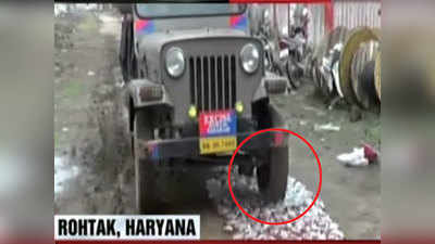 Haryana Police destroy liquor seized in Rohtak 