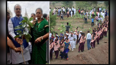 ১২ ঘন্টায় ৬ কোটি গাছ লাগিয়ে পরিবেশবন্ধু মধ্যপ্রদেশ