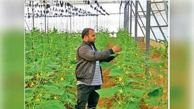 गुजरात के किसानों की मदद करती है इजरायल की तकनीक