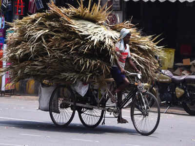 খাওয়া যখন সুপারির খোলের থালায়