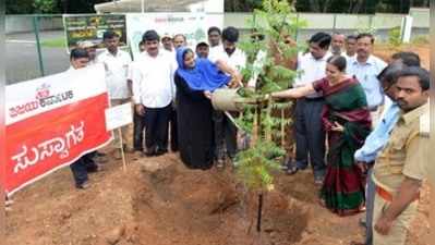 266 ಗ್ರಾಪಂಗಳಲ್ಲಿ 22 ಸಾವಿರ ವೃಕ್ಷಾರೋಪಣ