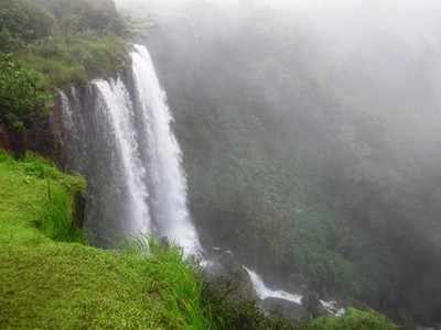 ಕಾನನದ ಸೊಬಗು, ನಿಸರ್ಗದ ಬೆಡಗು