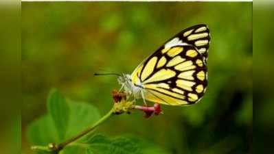 ಕ್ಲಿಕ್ಕಿಸುವ ಆ ಕ್ಷಣವೆ ಅಮೃತಘಳಿಗೆ