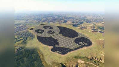 चीन ने बनाया पांडा जैसा दिखने वाला एक विशाल सोलर प्लांट