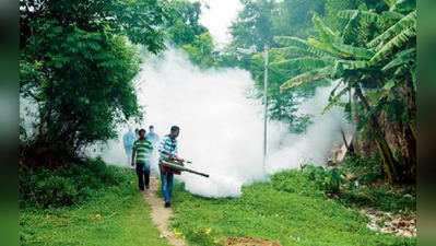 সচেতনতার অভাবেই বাড়ছে ডেঙ্গি