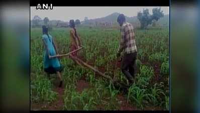 மாடுகளுக்குப் பதிலாக மகள்களைக் கட்டி நிலத்தை உழுத ஏழை விவசாயி!