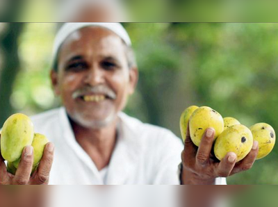 ಭಾರತ-ಪಾಕ್‌ ನಡುವಿನ ಒಂದು ಮಾವಿನ ಕತೆ