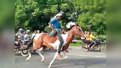 खतरनाक हुआ एक्सप्रेस वे पर सफर, सटोरियों ने लगाई घोड़ों की रेस