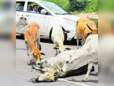 ఓ మని‘ఛీ’.. నీకిది తగునా..?