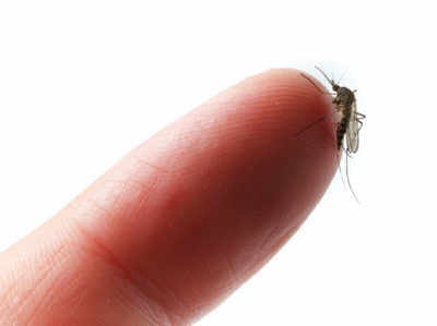 मलेरिया के मामलों में 32 प्रतिशत की बढ़ोतरी