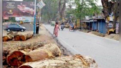 গাছ লাগাতে পরিকল্পনা কই, বহাল স্থগিতাদেশ