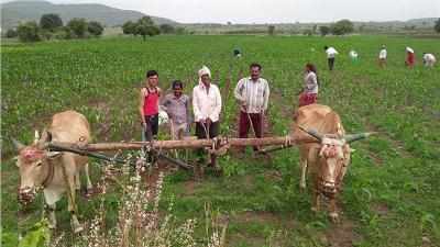 सिल्लोड तालुक्यात तीन आठवड्यानंतर रिमझिम