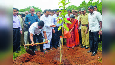 ವನಮಹೋತ್ಸವ ವರ್ಷವಿಡೀ ಇರಲಿ