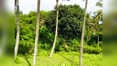 ಬತೇರಿ ಒತ್ತುವರಿ: ತಾಲೂಕು ಆಡಳಿತಕ್ಕಿಲ್ಲ ವರಿ