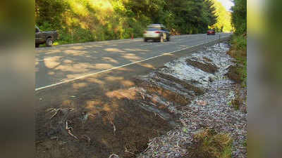 Eels create slimy mess on Oregon highway 